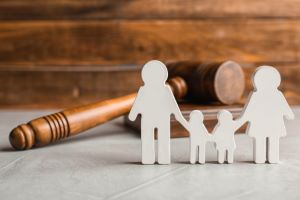 DuPage County private adoption attorney