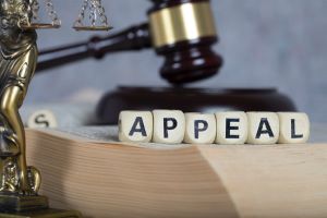 Wheaton, IL divorce attorney for appeals