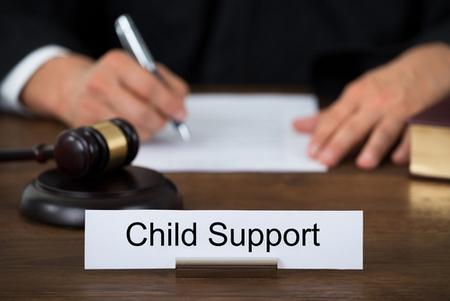 DuPage County child support attorney income shares